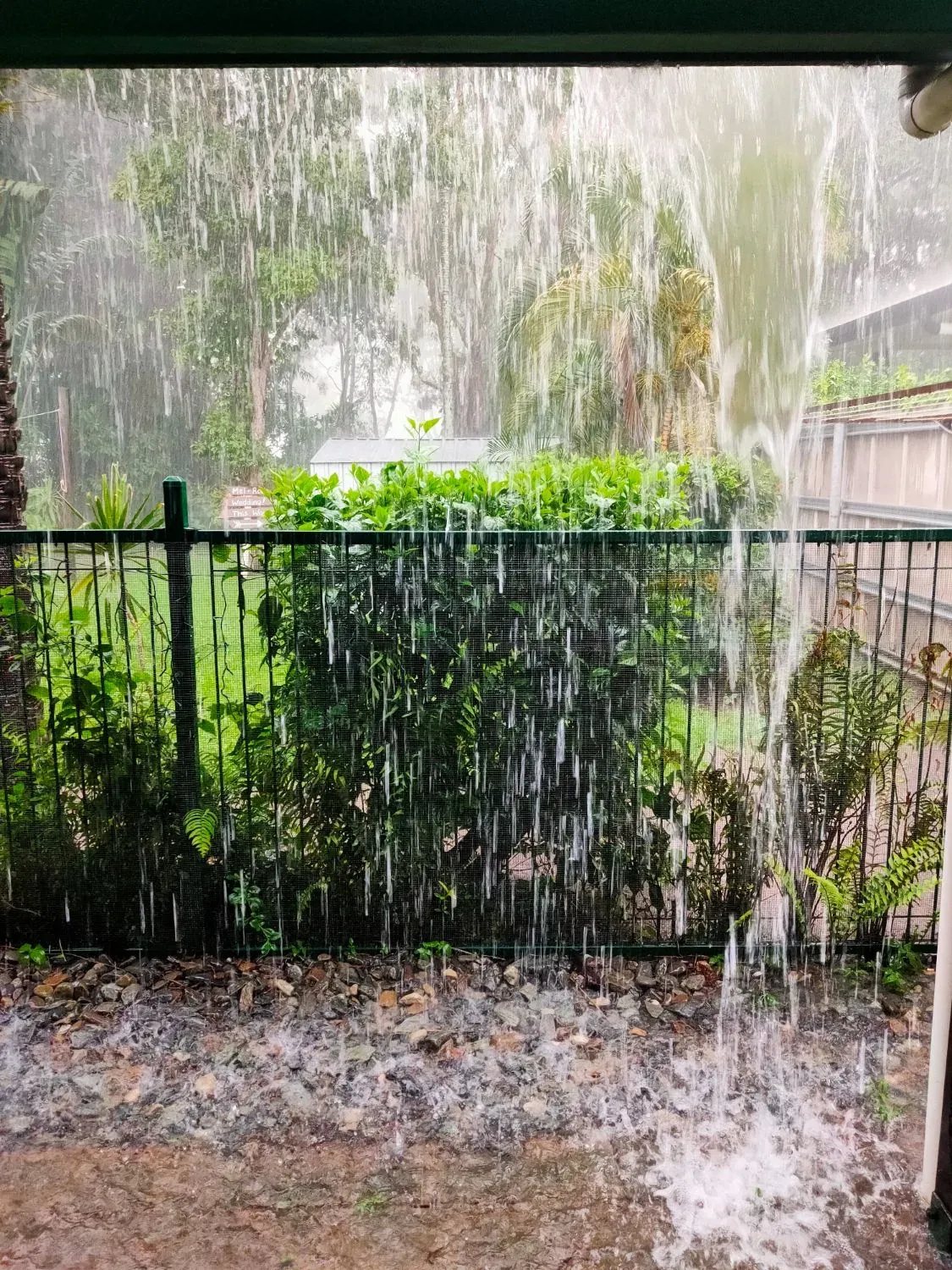 Rainwater sheeting past a blocked gutter onto a Cairns backyard during a downpour